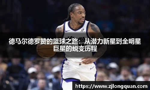 球速体育平台
